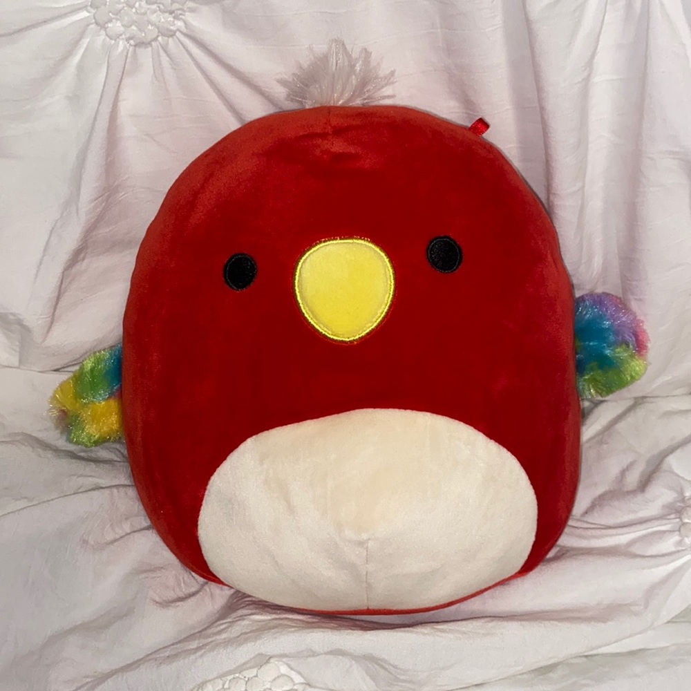 Paco the parrot 8 inch Squishmallow